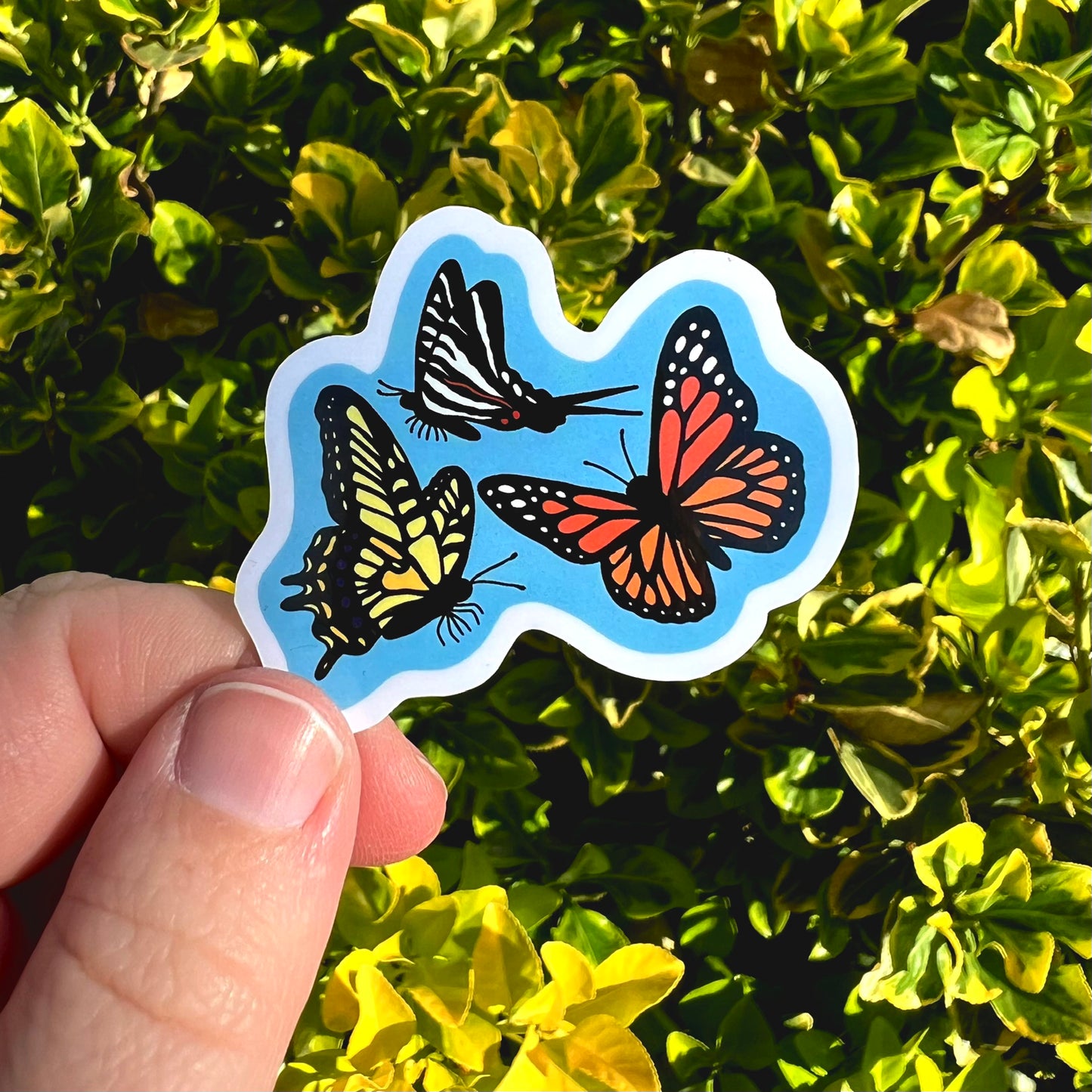 Smoky Mtn Butterflies Sticker