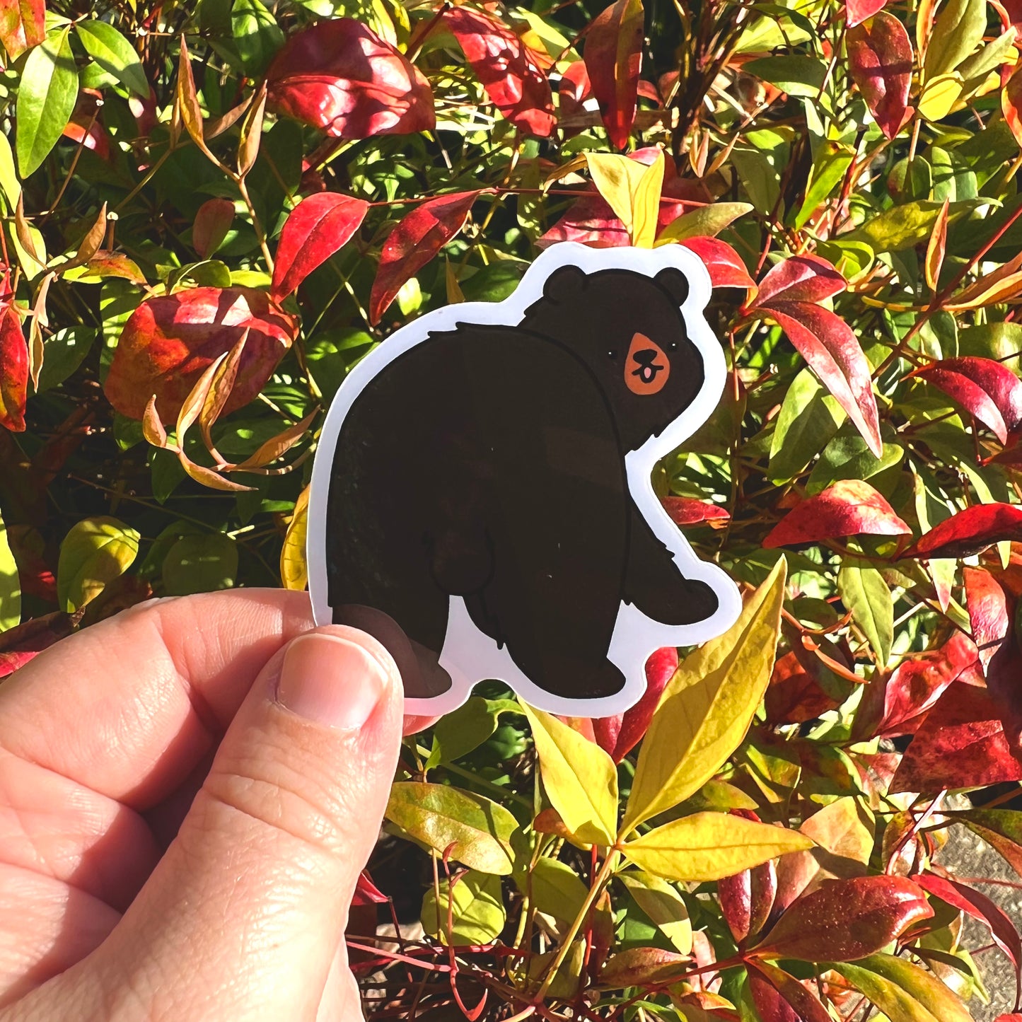 Smoky Mtn Black Bear Sticker